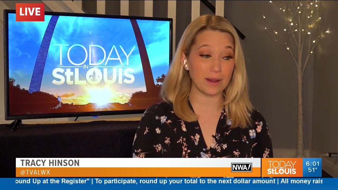 19 April - 12.00.00 - Today in St. Louis Weekend Edition. News.ts_snapshot_00.05.51_[2020.04.19_13.0