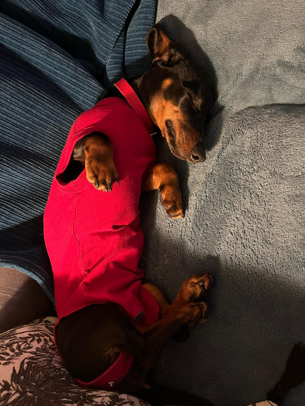 [Image: IMG-20250314-WA0004.jpg]