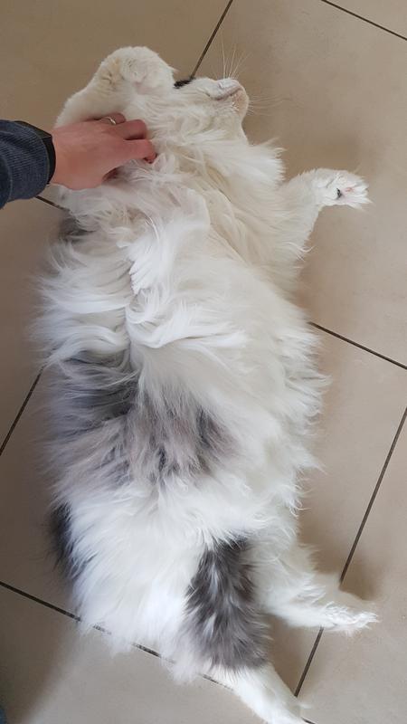 20190219-120124.jpg