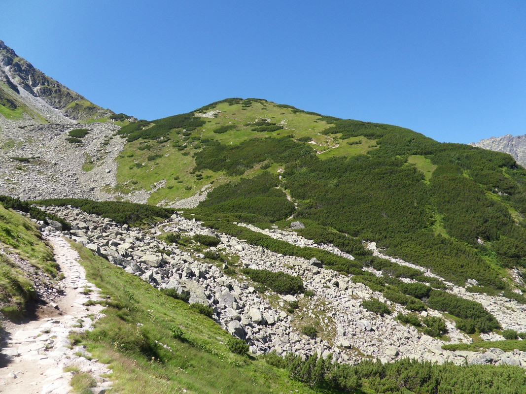 33 - SDC12090 (Czesio1)