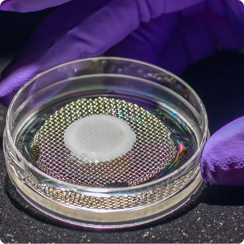 3D-printed skin print