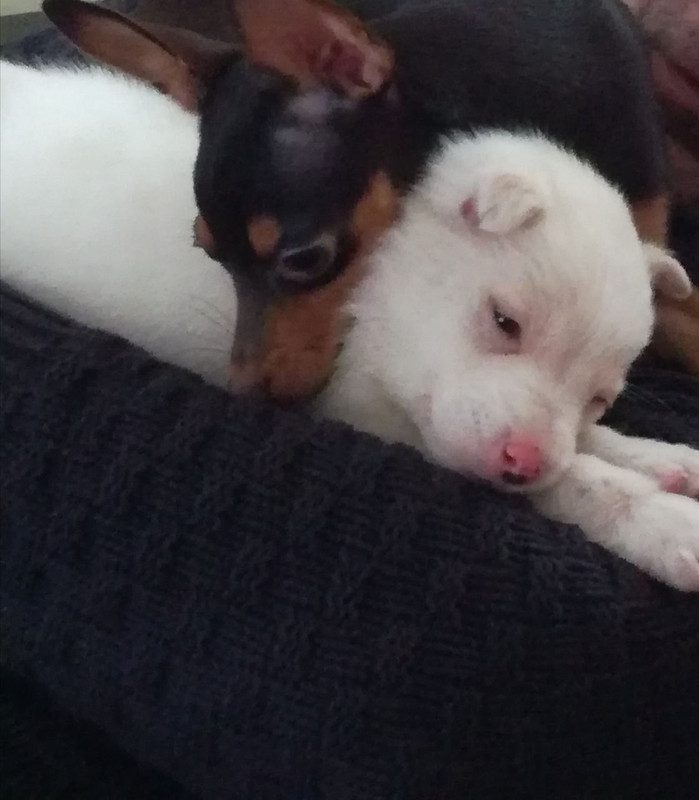 854F9D99-9517-4F46-B7DD-0D935B20695A