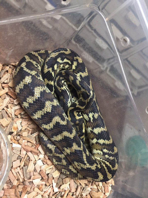 jMzllCXva-03Kf-FtUpT7BSGv-fJU9qUcTavh_2I_QCkTMmlurs3NII964IY6vLBqSWnZjyX