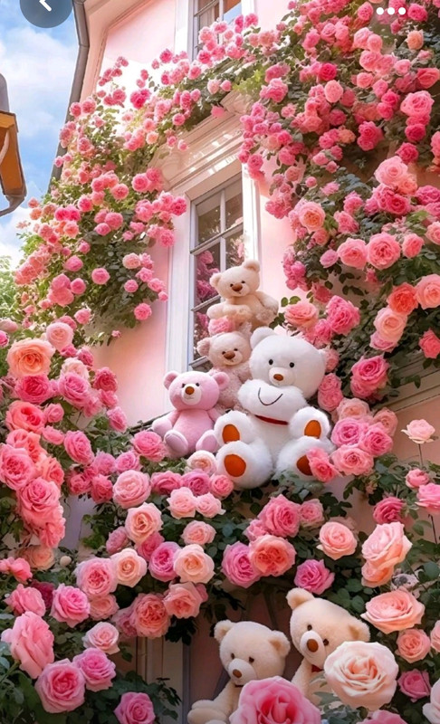 Screenshot_20231012_145630_Pinterest