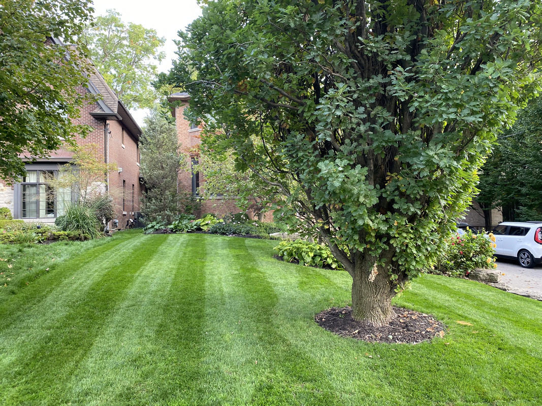 1ACBA1EC-A004-48E7-946A-ABA2F120121A