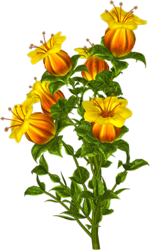 Kit_Just_Bee_In_ME (33)