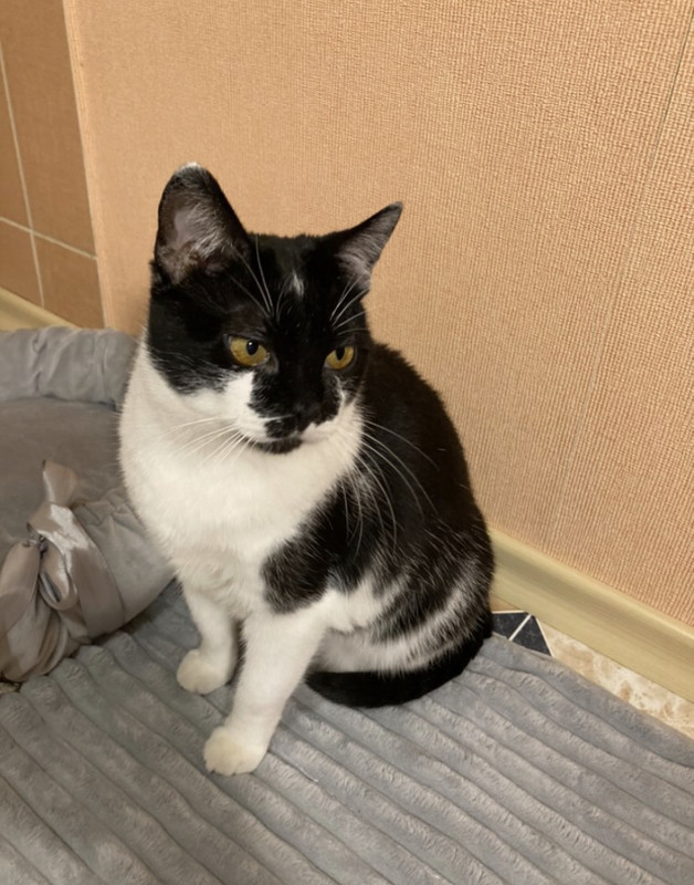 ECF2F390-2ED9-4ABC-9E97-A253415D950A