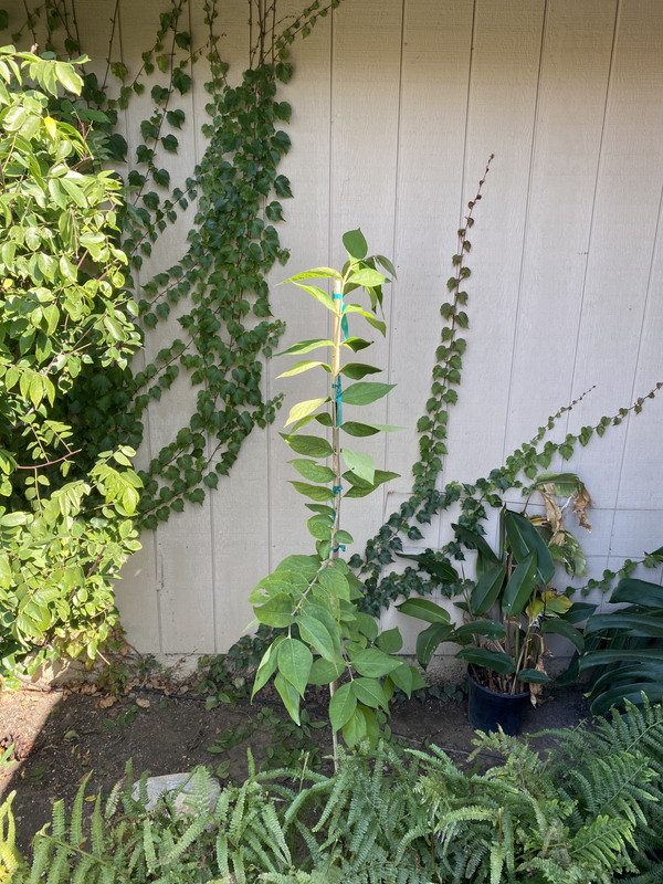 7C020232-B74B-42C0-A0C2-356B3D1CC9D5