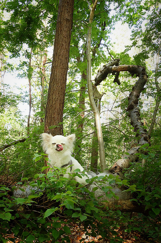 Lumii_20210528_141521059