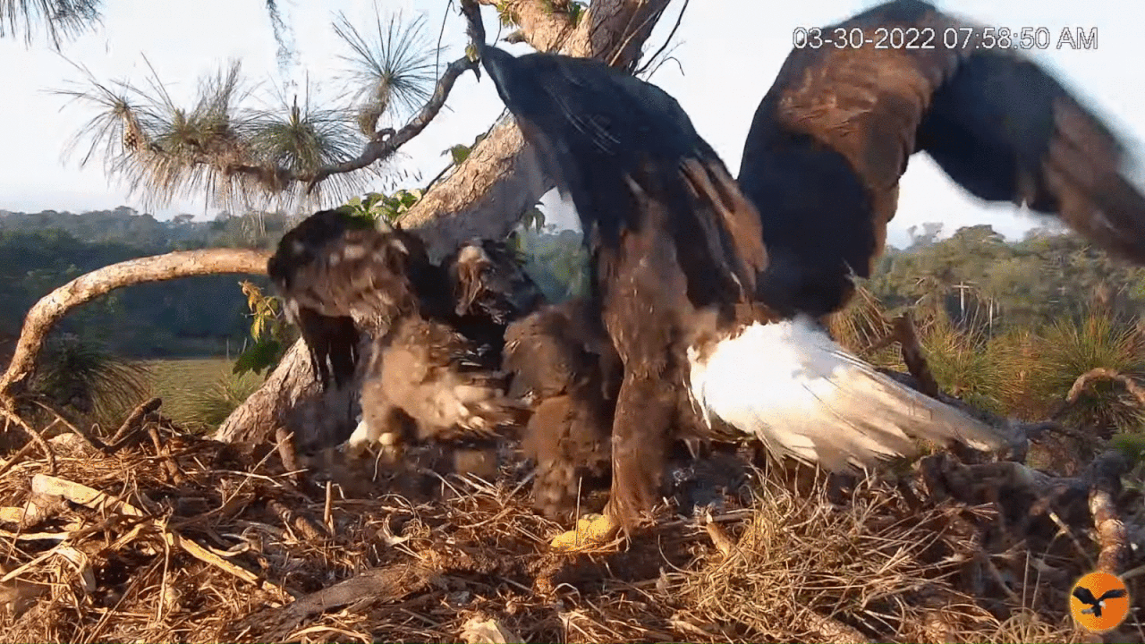 Webp.net-gifmaker (2)