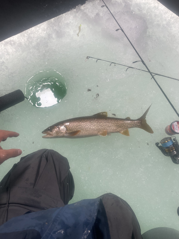 4F2CF303-F464-45F1-8DE9-1FD9A22AAED4