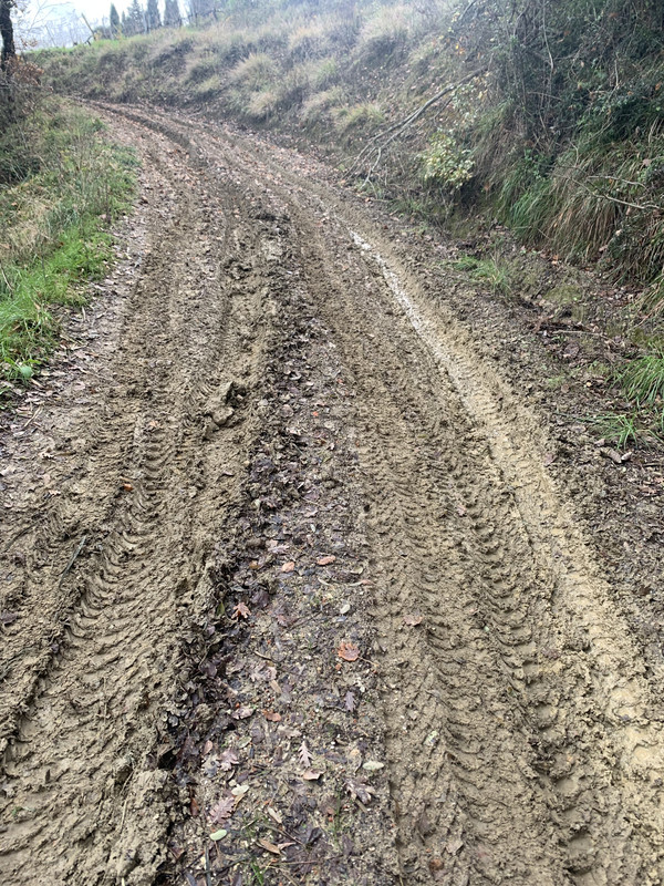 765A5BFE-67B2-4F74-8F94-955AED7CE459