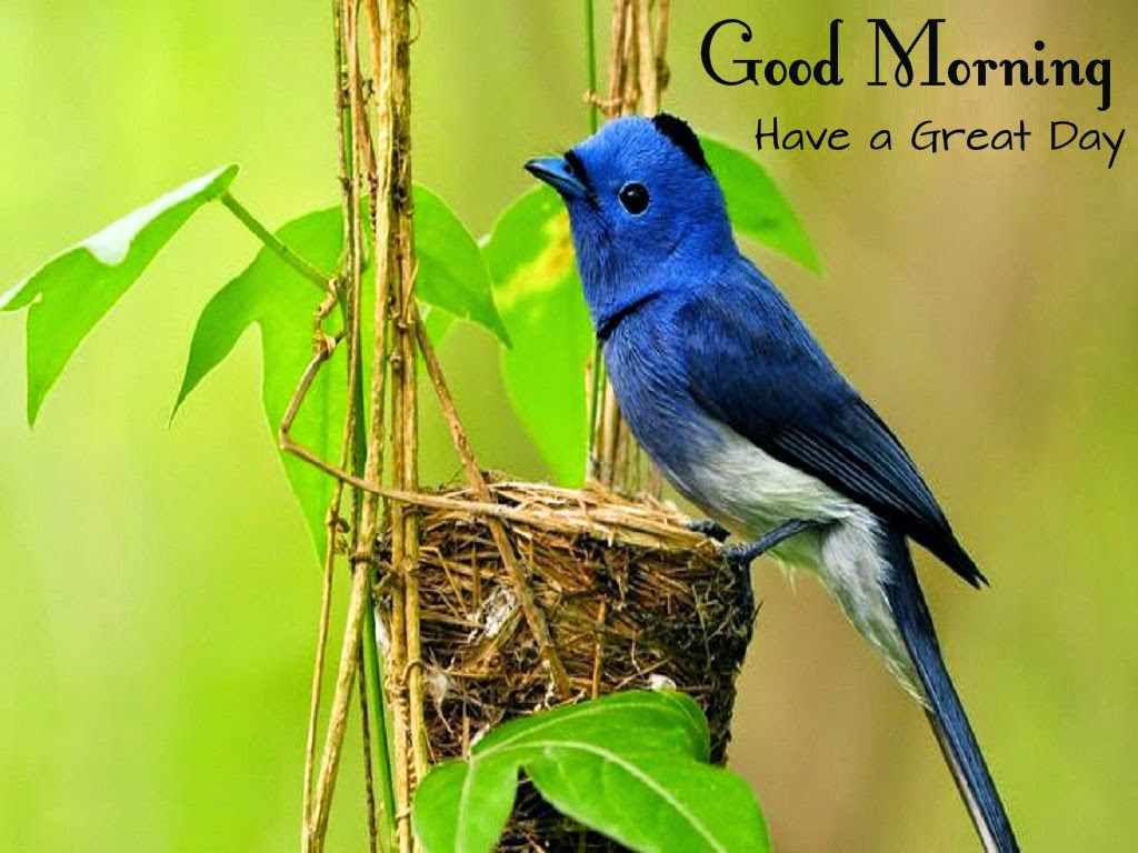 morning-greetings.jpg