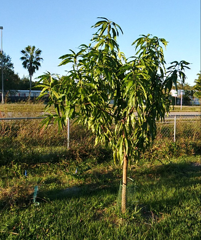 20211223_165159_HDR-1