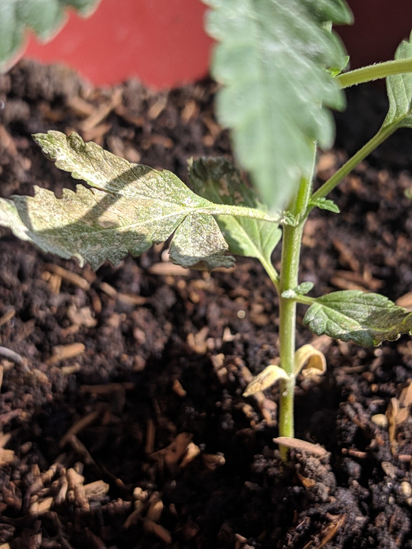 HC_20230127_161604_null