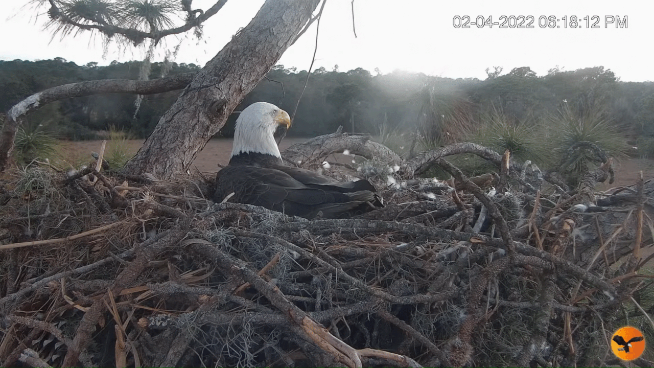 Webp.net-gifmaker (2)