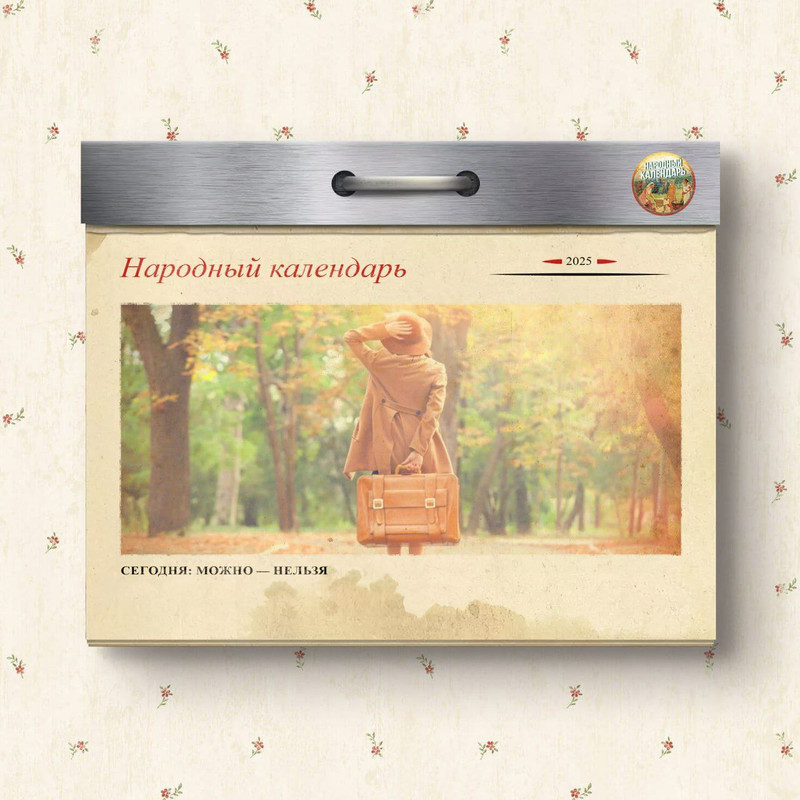 [Изображение: photo-2025-11-26-09-05-47.jpg]