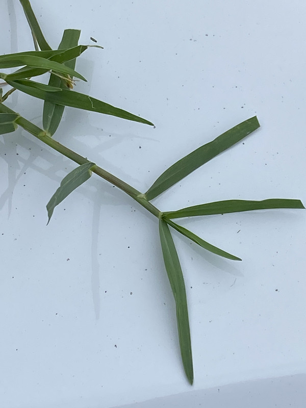 8AF11177-3E21-4760-A319-5455C3C8E84C