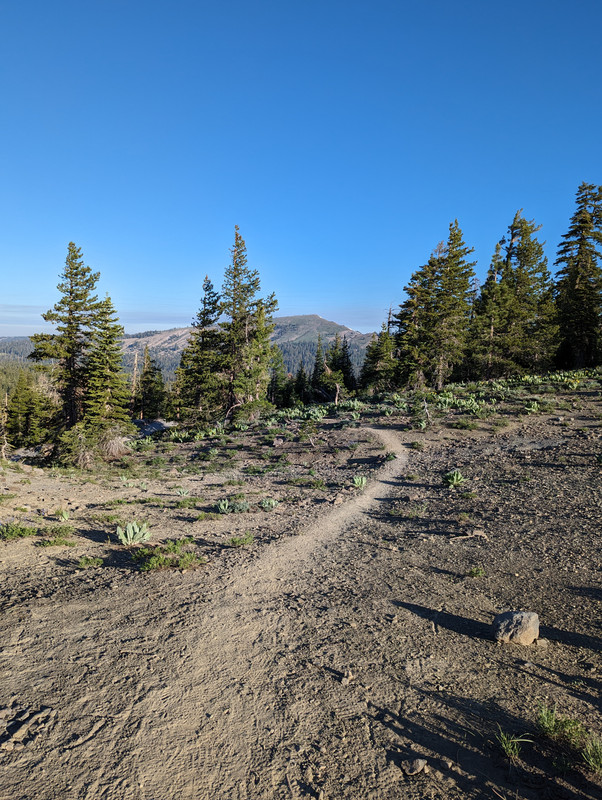 PXL_20250710_142358156