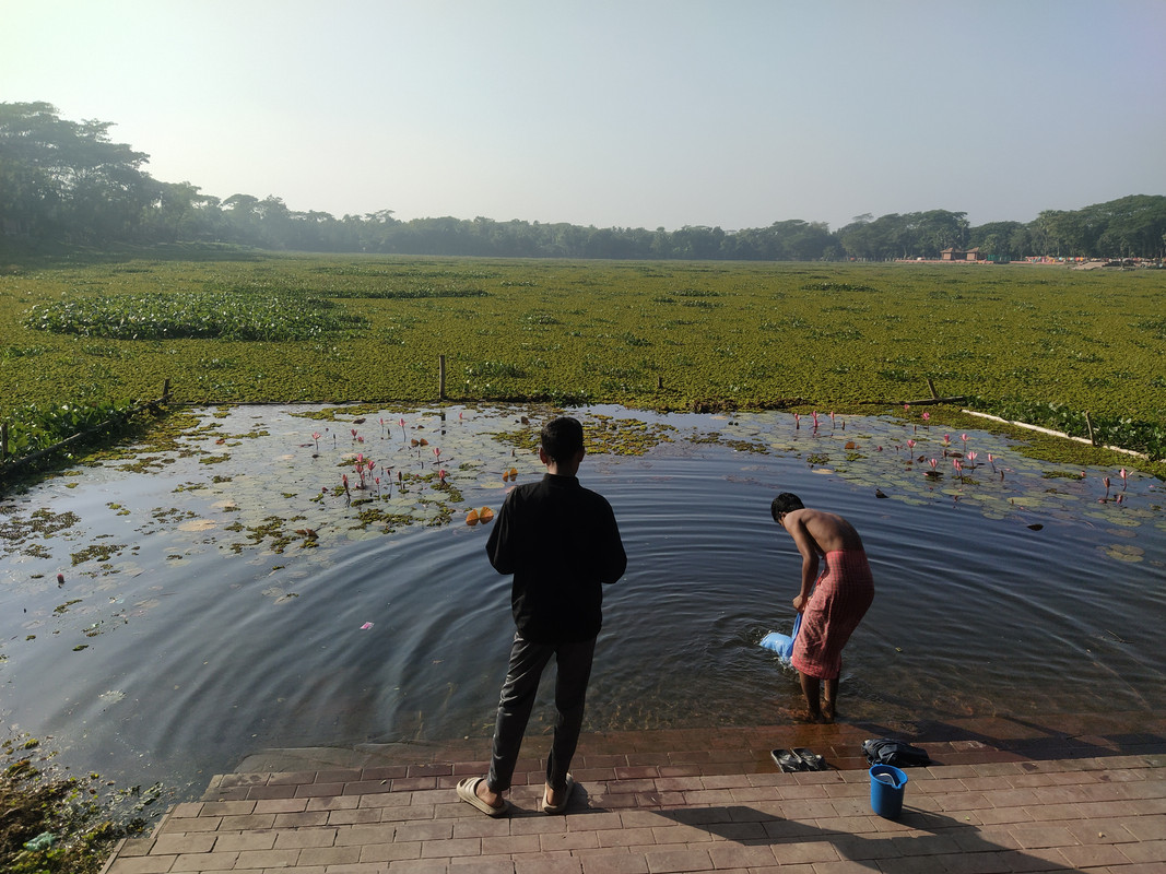 Бенгальский фьюжн с коровами на деревьях, или Бангладеш в обрамлении двух Индий