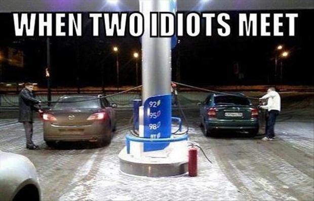When-Two-Idiots-Meet-Funny-Stupid-Picture.jpg