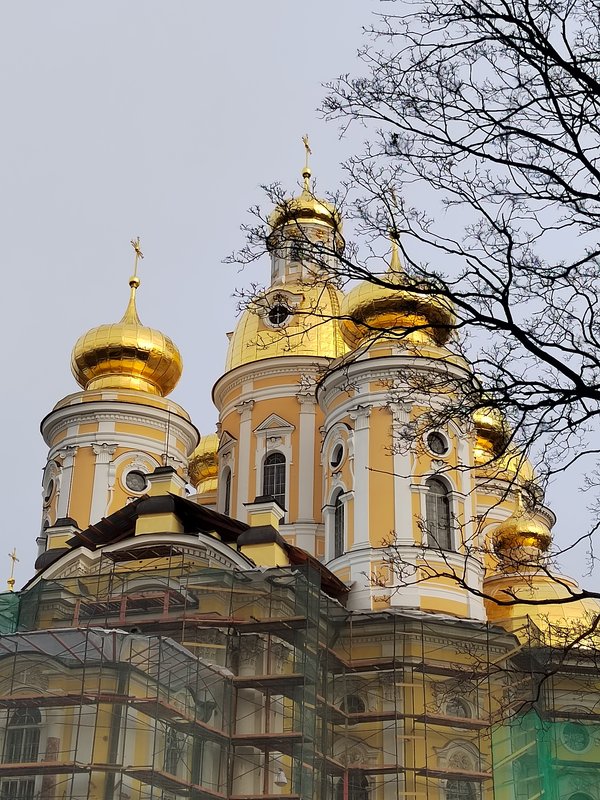 https://i.postimg.cc/zBgY9BSC/43-IMG-20230318-090217.jpg