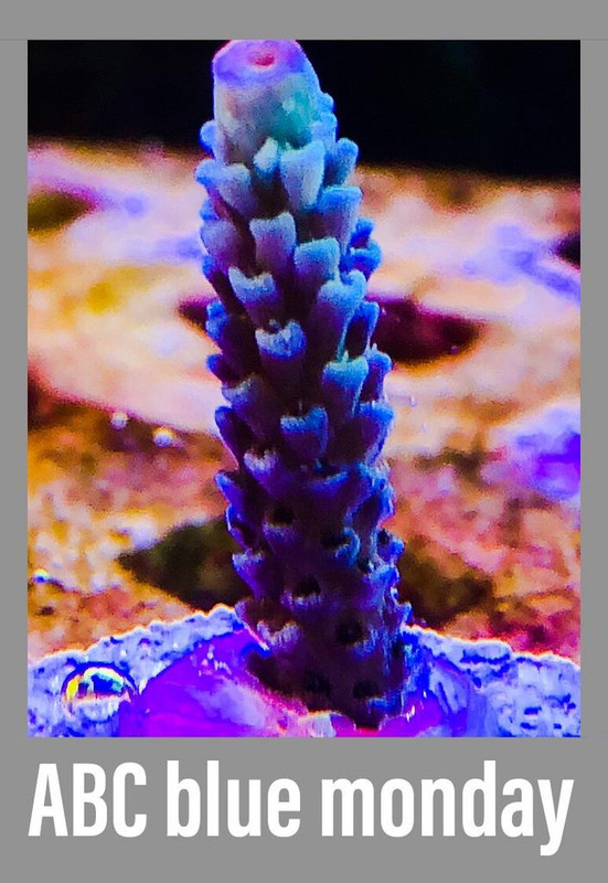 936DF104-90CC-4109-8A41-242200F0E47A