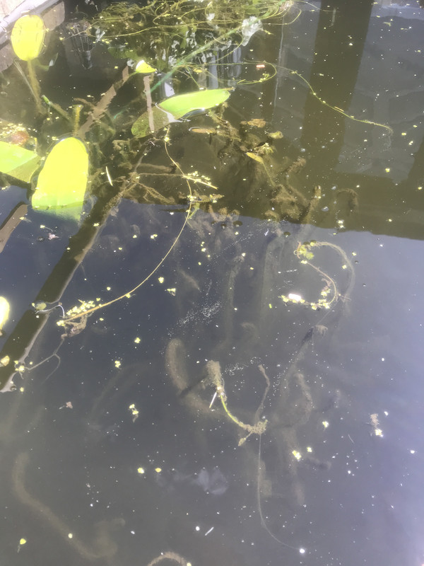 A66AA77C-B0C3-4BEE-BA26-CA78F81477FD