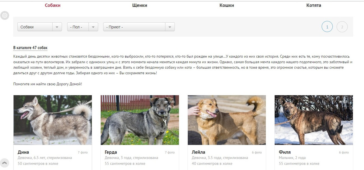 cYbk8EDGMQ66KL2I4I6ouPl6it7Cd36j