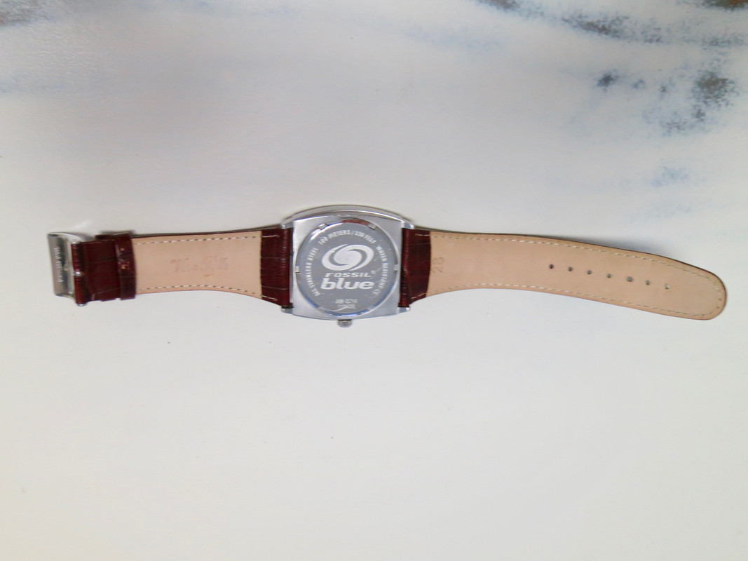 FOSSIL IMG_7280 2