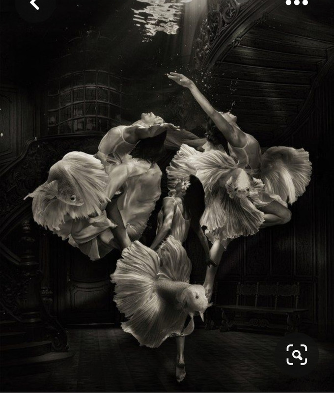 Screenshot_20230509_013013_Pinterest