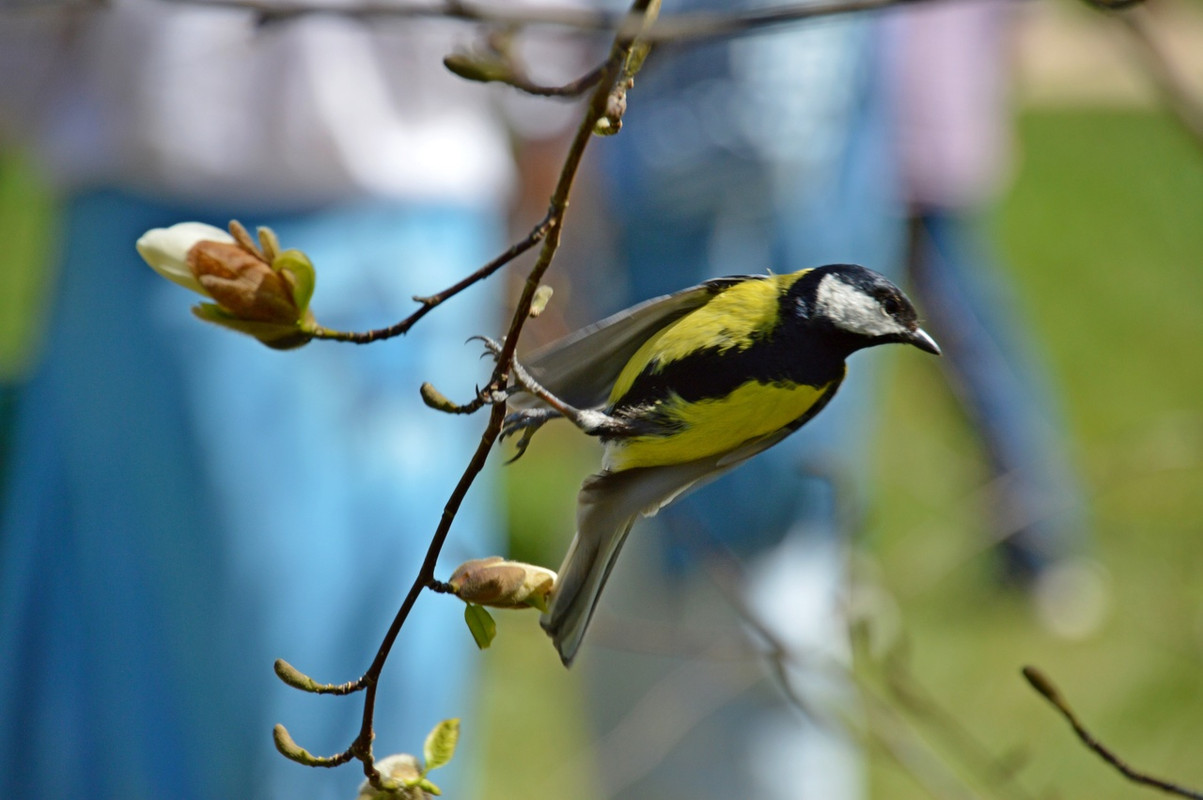 wgSLYdWdwJvwC6FUduFRAlcbMyMRVDbEVWQ5AqWQx0onuiRNQjg8cw6NbCYbqCxObZ16ZQqiYAqY8OaTIeezEYrV