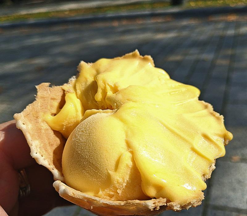 Obrazek