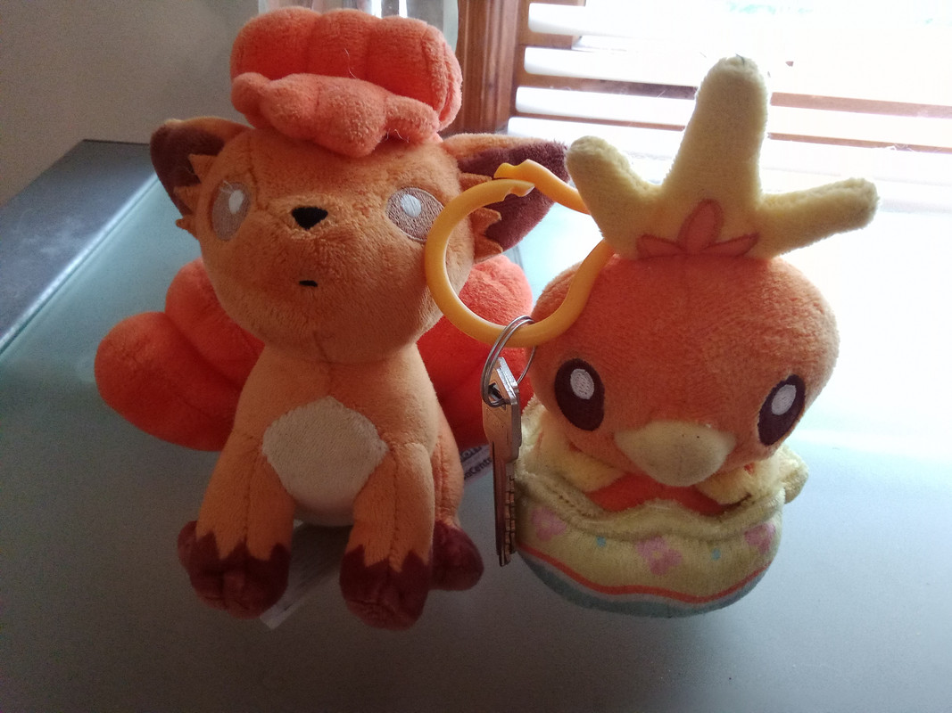 [PokeCommunity.com] The 🔥fire🔥type Pokémon club.
