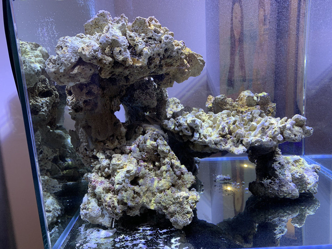 06E30E7B-01B8-4115-ABCC-5F0523AC1DEE