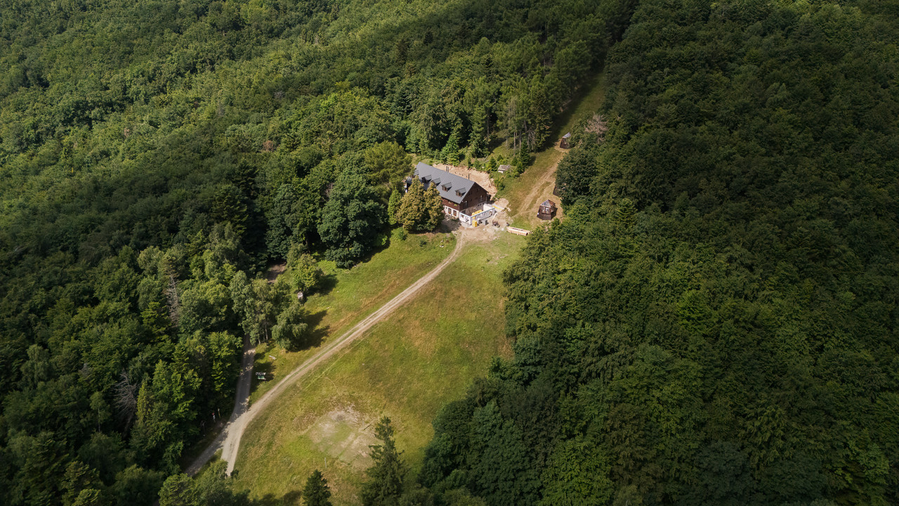 Obrázek