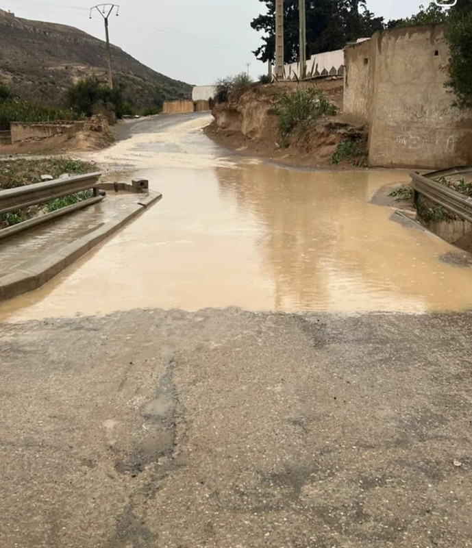 d50861c0-c0f5-4fca-9692-6427a7d98580