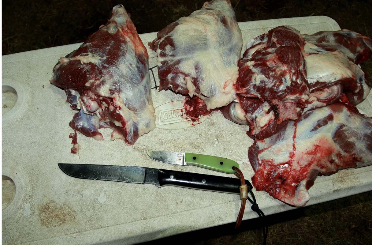 Screen Shot 2025-08-16 at 10.32.28 AM