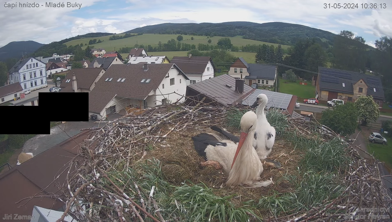 Tiešraides kamera — Mladé Buky — stārķa ligzda 14-44-44 screenshot