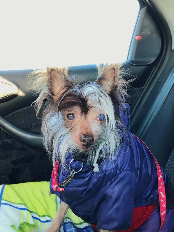 415AD203-2D3C-4F85-8293-1D1837DB5162