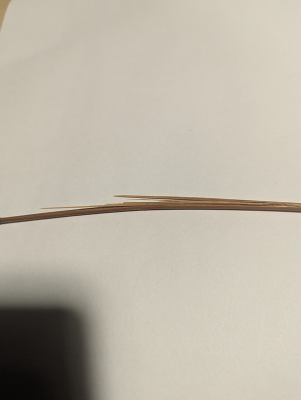 PXL_20241122_015856529