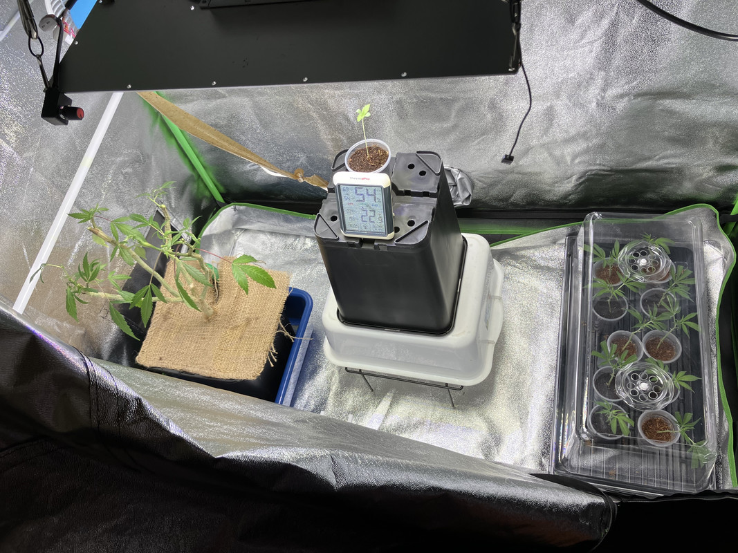 D32E2BDC-1C1C-4BB9-B1C8-26BFE5B21307