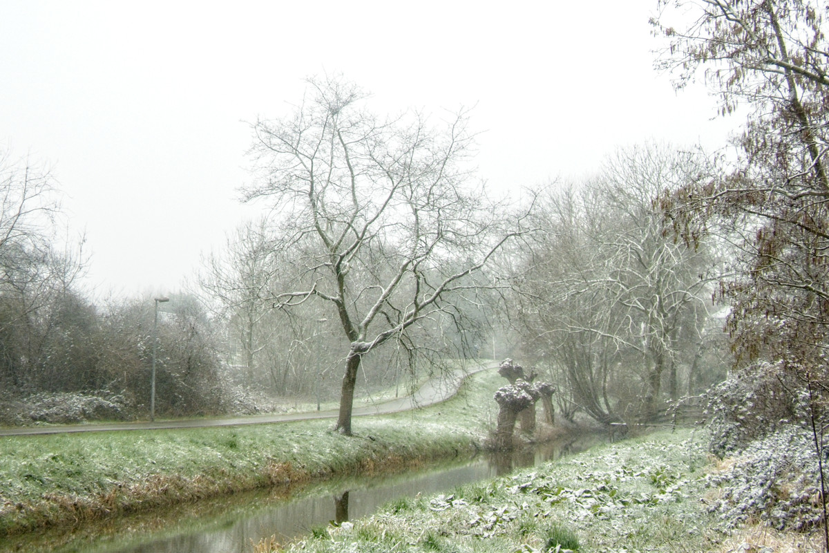 Afbeelding