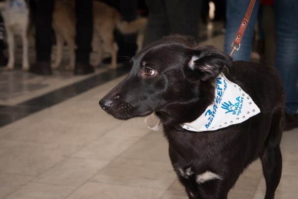 65C9456A-0DEA-42C5-8E98-3C2A3E4E0A4F