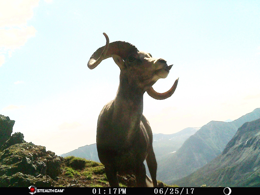 52B9EE1D-C181-495E-849B-B7D51712CE76