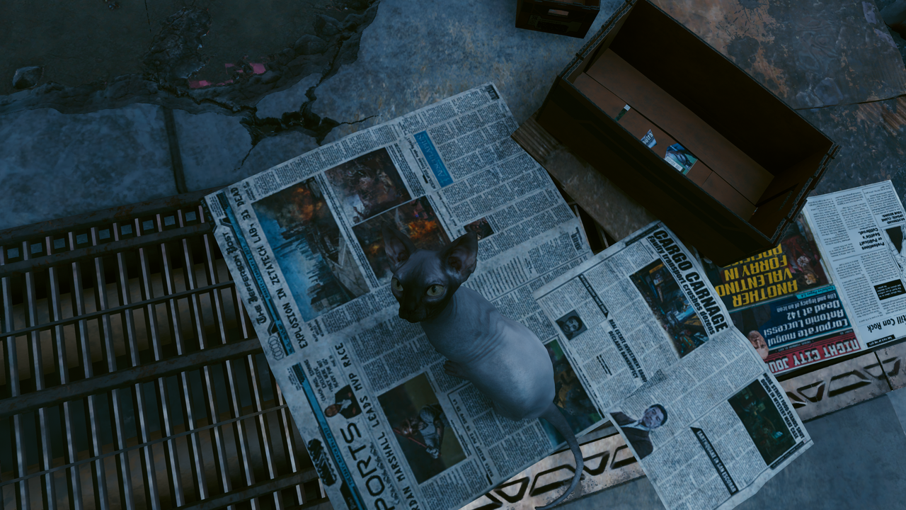 Cyberpunk-2077-Screenshot-2026-07-21-22-35-47-14