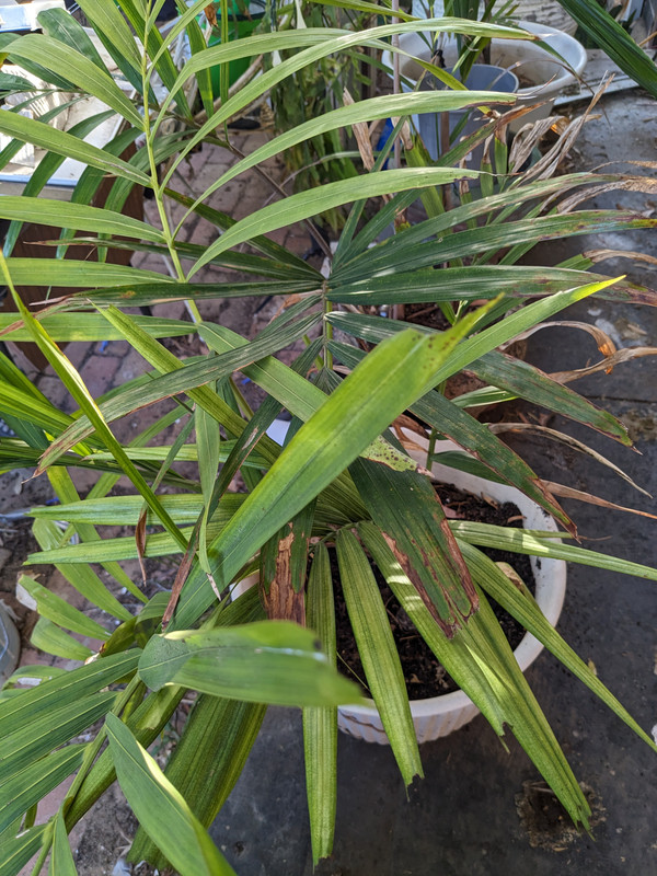 PXL_20241231_102107704