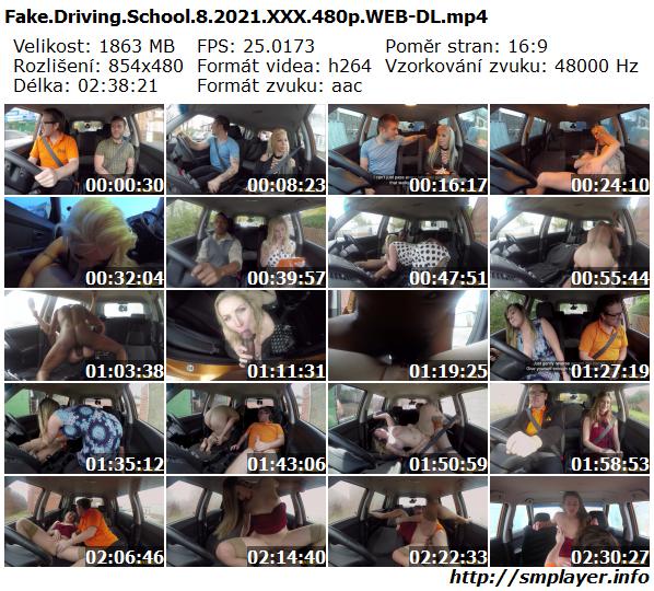 Fake Driving School 8 (2021)