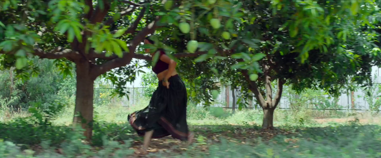 vlcsnap-2024-01-13-14h43m43s525