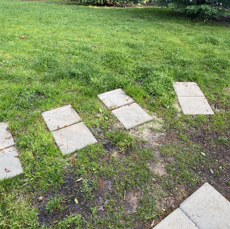 BDE3B811-71EA-4FF5-897B-C9767A03631E